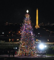 شجرة عيد الميلاد بالقرب من مبنى الكابيتول الأمريكي في واشنطن العاصمة.   “رويترز»