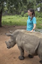 موظفة تقدم الرعاية لوحيد القرن في ملجأ رهينو الذي يهتم بالأيتام والجرحى من وحيد القرن في مقاطعة ليمبوبو بجنوب إفريقيا بهدف إطلاقها مرة أخرى في البرية. ا ف ب