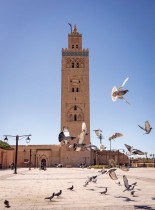 حمام يطير في ساحة مسجد الكتبية في مدينة مراكش المغربية. ا ف ب