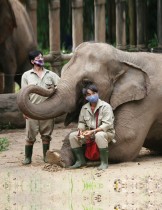 حارسان يرتديان أقنعة واقية، ويجلس أحدهما على قدم فيل في حديقة حيوان سايغون والحدائق النباتية ، والتي تواجه أعدادًا متضائلة من الزوار بسبب فيروس كورونا، في هوشي منه ، فيتنام.  رويترز