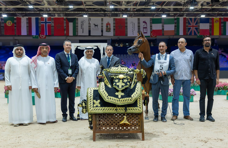 خيول الإمارات تخطف الأضواء في البطولة الدولية للخيل العربية «تايتل شو» بالمغرب 