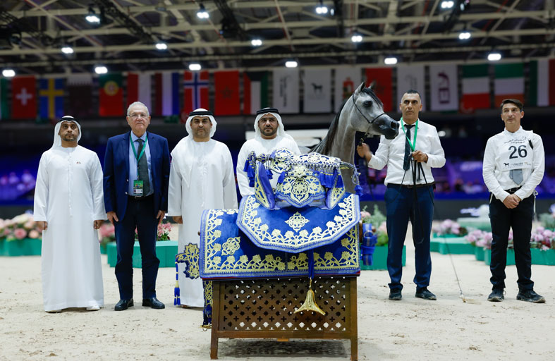 خيول الإمارات تخطف الأضواء في البطولة الدولية للخيل العربية «تايتل شو» بالمغرب 