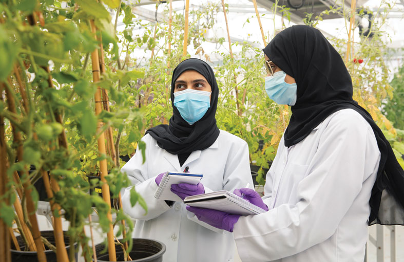جامعة الإمارات تدعم التقدم العلمي والبحثي بتمويل 132 مشروعاً بحثياً يعزز  الابتكار والتطوير