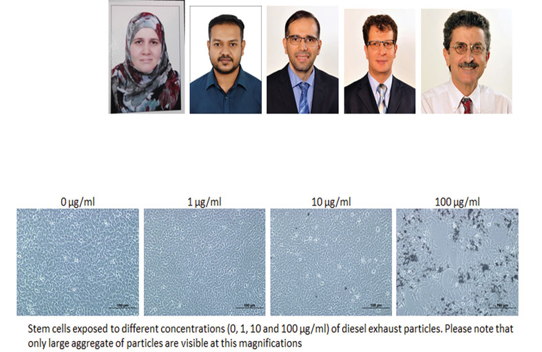 تأثير عوادم السيارات على الخلايا الجذعية للمعدة دراسة بحثية بجامعة الإمارات