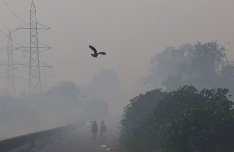جودة الهواء في دلهي عند مستويات «خطرة» 