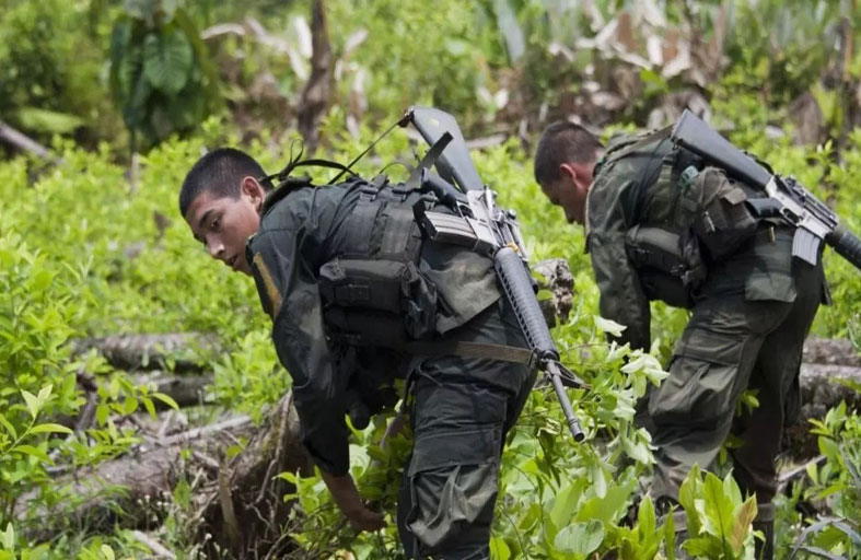 مواجهات مستمرة بين مزارعي الكوكا والقوات الأمنية في كولومبيا   