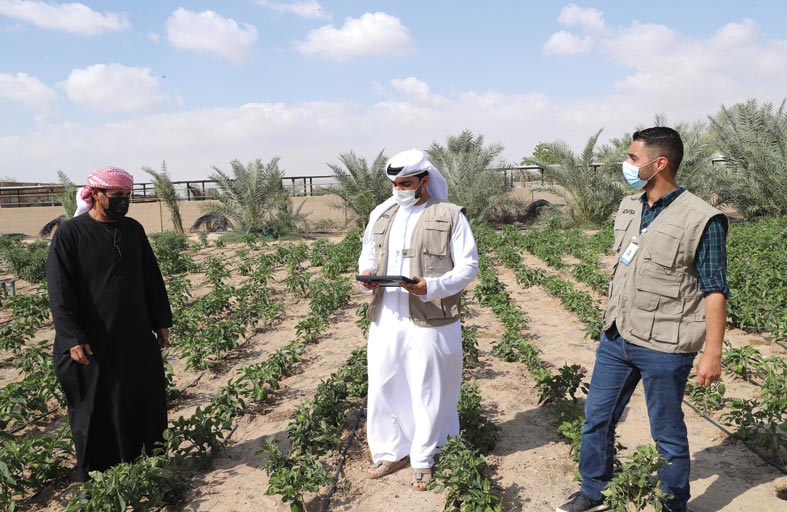«الزراعة والسلامة الغذائية» تجمع بيانات 11,793 مزرعة بنسبة 50 % من إجمالي مزارع أبوظبي 