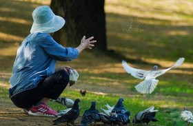 ما علاقة هواية مراقبة الطيور بالشيخوخة؟