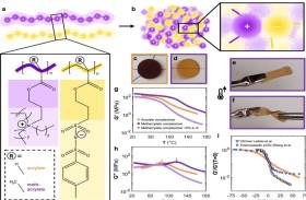 زجاج يرتد ولا ينكسر.. ابتكار مادة «مستحيلة» تحطم قواعد الفيزياء