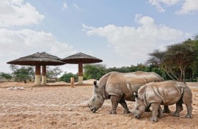 حديقة الحيوانات بالعين تحتفل باليوم العالمي لحماية وحيد القرن 