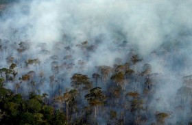 احتمال اختفاء الأمازون في غضون 50 عاما 