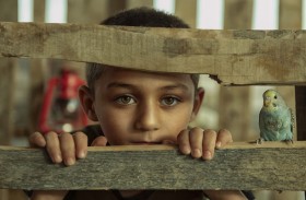 العراق يحصد جائزة الأسبوع الثالث من مسابقة إكسبوجر العالمية #صور_من_المنزل