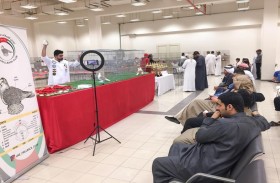 بلدية مدينة أبوظبي تنظم معرضاً لحمام الزينة في الوثبة بمشاركات خليجية وأوروبية