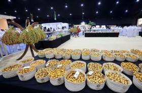 ليوا للرطب يستقبل 3.2 طن في يومه الأول