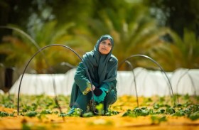 «الفاو» تختار الإماراتية خديجة القبيسي ضمن مبادرتها العالمية لتقدير 100 مزارعة حول العالم
