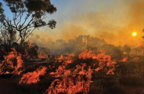 تحذيرات علمية من اقتراب سيناريو «الأرض الجهنمية»