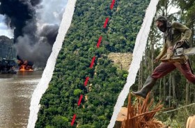 رئة العالم في قبضة «كارتيلات» الجريمة