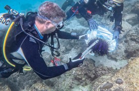 موانئ دبي العالمية تدعم جمعية الإمارات للغوص وجامعة خورفكان في شراكة لإنقاذ الشعاب المرجانية في الساحل الشرقي من التاج المدمر لنجوم البحر
