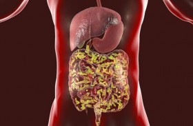 اكتشاف بكتيريا في الأمعاء تؤثر في تراكم السموم في الدم
