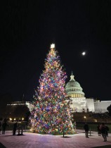 الزائرون ينظرون إلى شجرة الكابيتول الأمريكية ، قرب مبنى الكابيتول في واشنطن مع اقتراب احتفالات أعياد الميلاد - ا ف ب