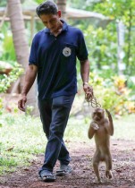 نيرون وونجوانيش ، 52 سنة ، مدرب القردة ، يمشي مع قرد خلال دورة تدريبية في مدرسة القردة لحصاد جوز الهند في مقاطعة سورات ثاني، تايلاند.رويترز
