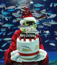 غواص يرتدي زي بابا نويل يسبح مع زخرفة على شكل كعكة عيد الميلاد في حوض أسماك كبير تحت الماء للاحتفال بعيد الميلاد القادم في طوكيو.   رويترز