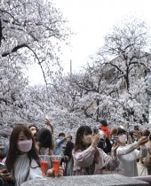 يابانيون يلتقطون صورًا لأشجار أزهار الكرز على طول نهر ميغورو في طوكيو   - ا ف ب