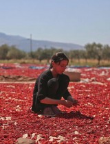 فتاة تجلس وسط محصول الفلفل الحار ليجف في بلدة محمبل في ريف إدلب الجنوبي شمال غربي سوريا - ا ف ب
