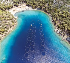 صورة جوية تظهر مزارع الأسماك في جزيرة بوروس اليونانية. ا ف ب
