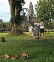 سائحون يلتقطون صورًا لقرود المكاك في مجمع معبد أنغكور وات ، أحد مواقع التراث العالمي لليونسكو ، في مقاطعة سيم ريب بكمبوديا -ا ف ب