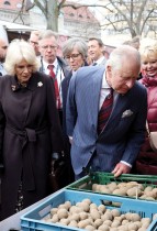 ملك بريطانيا تشارلز الثالث وقرينته كاميلا ، ينظران إلى البطاطس أثناء زيارتهما لسوق الطعام في فيتنبرغبلاتز في برلين.  «رويترز»