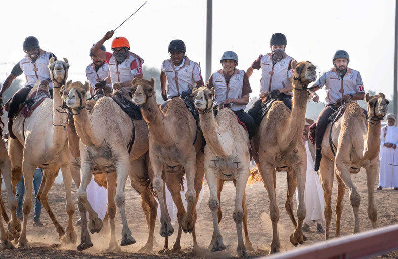 اختتام التمهيدي الثاني لماراثون رحلة الهجن بمشاركة 27 متسابقا من 18 جنسية 