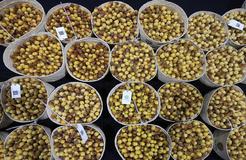 ليوا للرطب يستقبل 3.2 طن في يومه الأول 