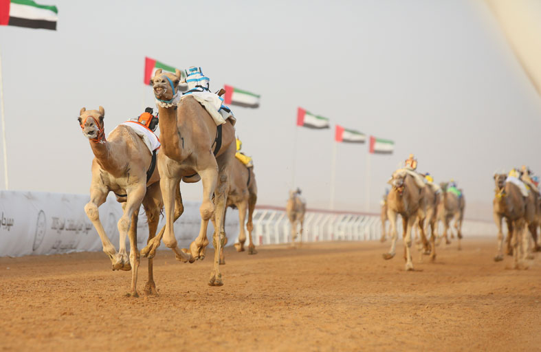 فرح تحقق الفوز الأول في اليوم الثاني للقايا و مغادر يقطع مسافة 3 كم في أفضل زمن 