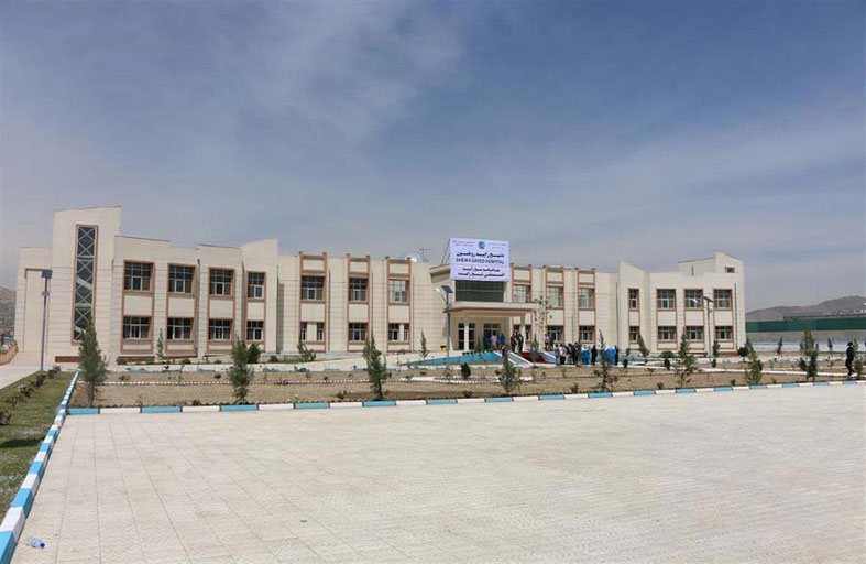 «زايد الخير» .. إرث خالد يشع نورا في جميع أنحاء العالم 