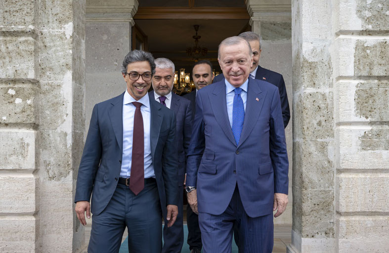 منصور بن زايد والرئيس التركي يبحثان علاقات التعاون والتطورات في الشرق الأوسط  