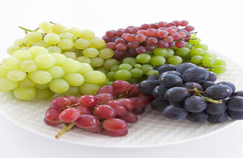 العنب.. فاكهة تساعد على العيش لفترة أطول