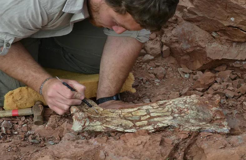 حفرية لـ «تنين الموت» عمرها 86 مليون سنة