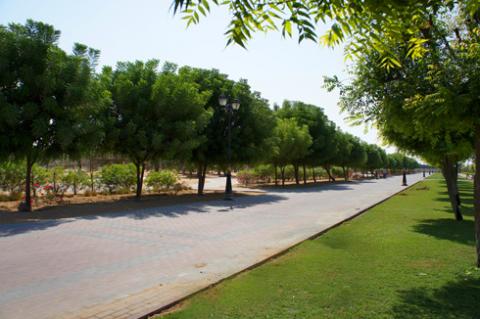بلدية عجمان تنشىء مسطحات وحدائق جديدة لزيادة الرقعة الخضراء
