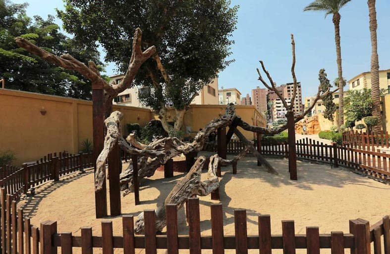 مصر تعيد افتتاح موقع شجرة السيدة مريم 