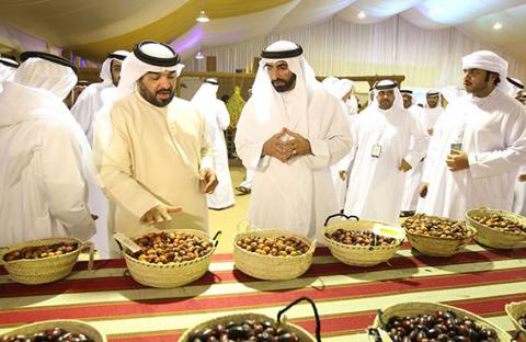 أعضاء المجلس التنفيذي لإمارة أبوظبي يتفقدون مهرجان ليوا للرطب