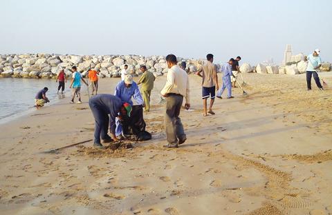 منتجع الشاطئ ينظم حملة تنظيف للشاطئ 