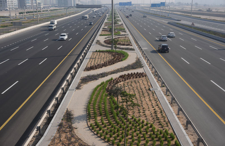 بلدية مدينة أبوظبي تنجز أعمال تجميل الجزيرة الوسطية في شارع الشيخ زايد