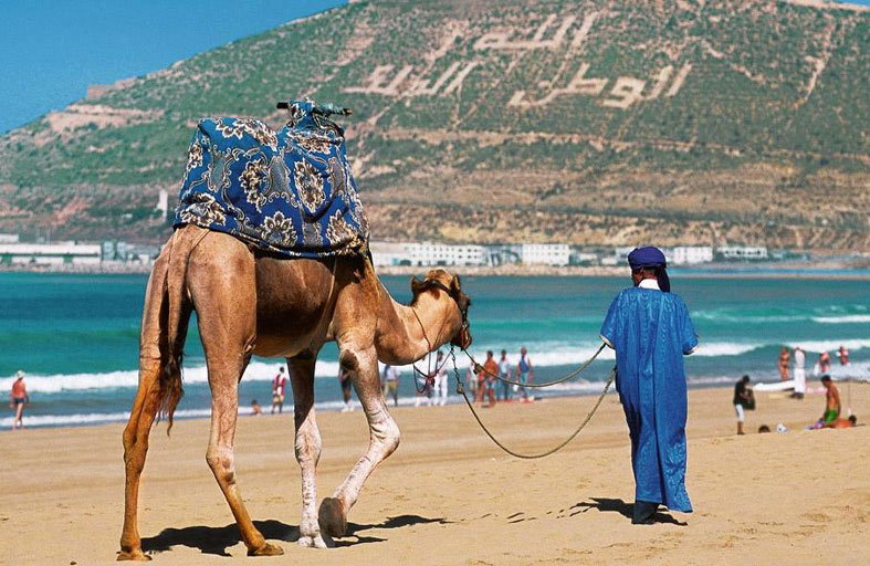 نداء لاستمرار تدفق السياح على المغرب