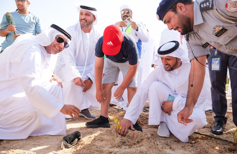 بلدية مدينة أبوظبي تزرع 1000 شتلة من القرم بجانب حديقة النباتات الملحية في الشليلة