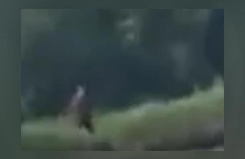 مخلوق غريب..نصف إنسان ونصف كلب 