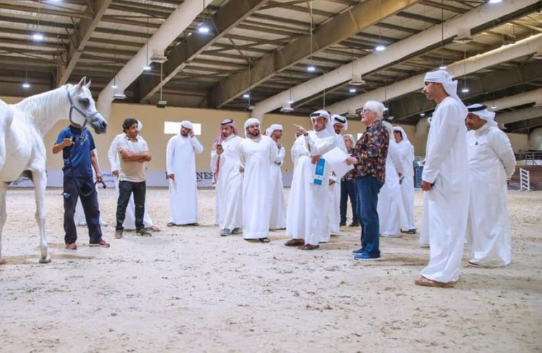 جمعية الإمارات للخيول العربية تنظم دورة «التحكيم الوطني»