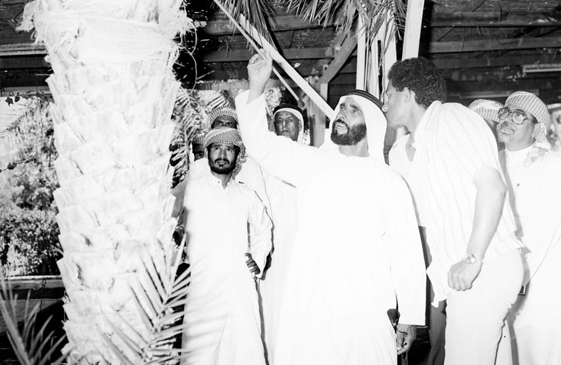 رؤية الشيخ زايد.. موروث ثقافي يساهم في حماية البيئة وتعزيز استدامتها