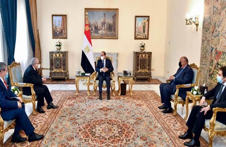 تأكيد على استمرار الدعم العربي لقيس سعيّد