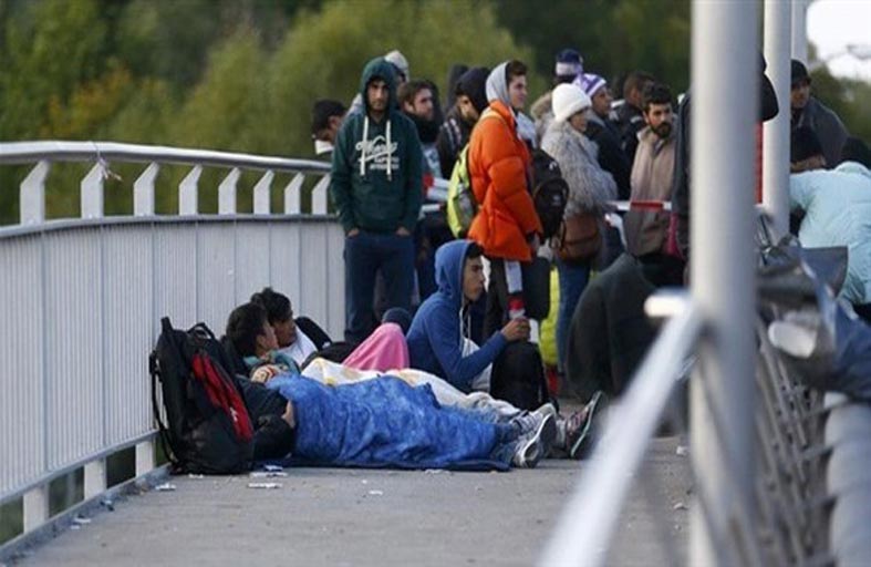  ألمانيا تحتاج إلى 400 ألف مهاجر سنوياً لسد العجز 